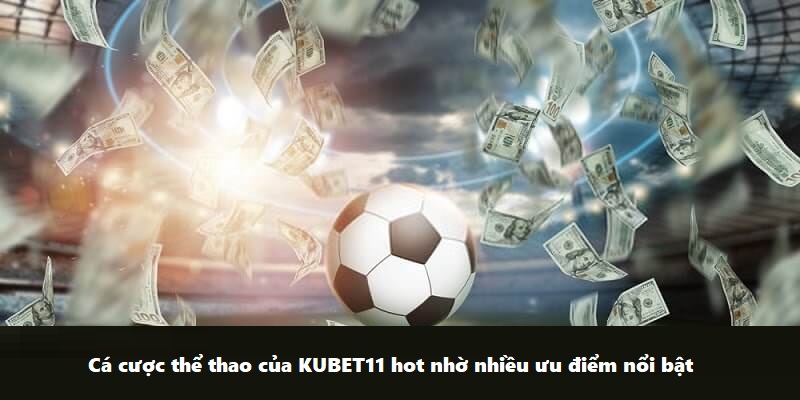 Cá cược thể thao của KUBET11 hot nhờ nhiều ưu điểm nổi bật